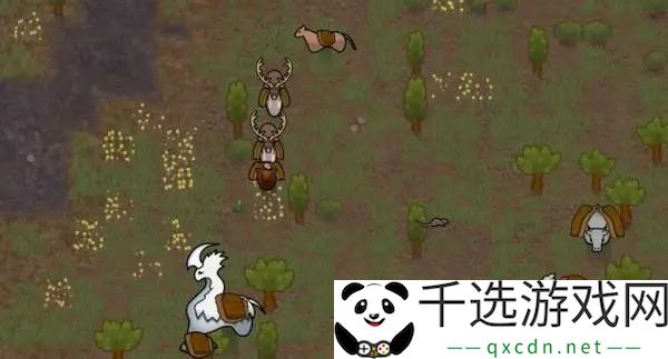 rimworld怎么喂动物