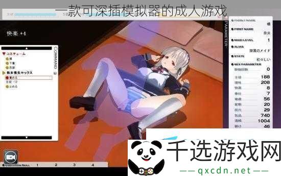 一款可深插模拟器的成人游戏