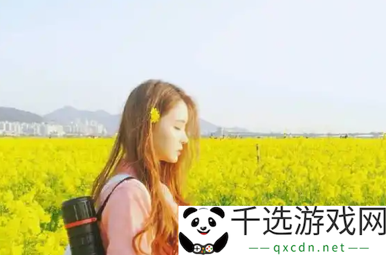美国人与动物胶配方有几种：使用体验与安全隐患的双重考量