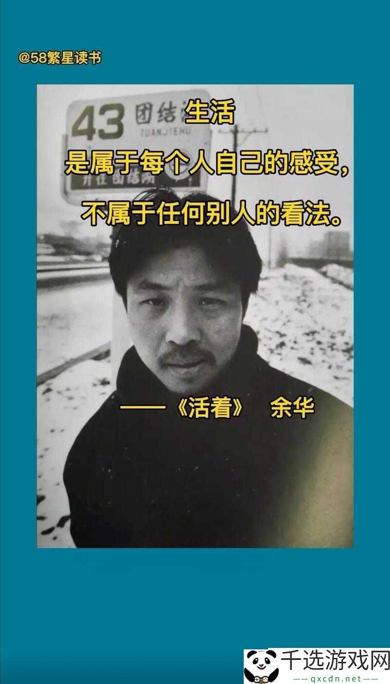 那些荒唐混乱的岁月是什么书：一段尘封历史的探寻与解读