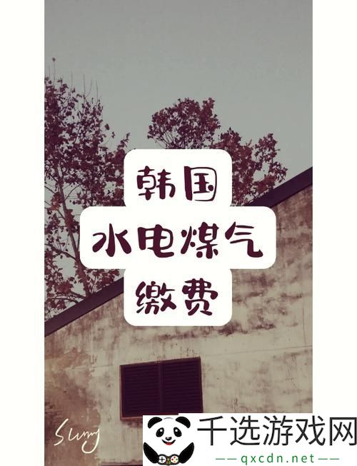 探秘好看的韩国三色电费背后的美学与设计