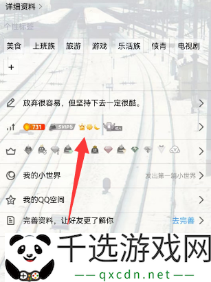 qq怎么查询全球等级排行-qq等级全球排行查询