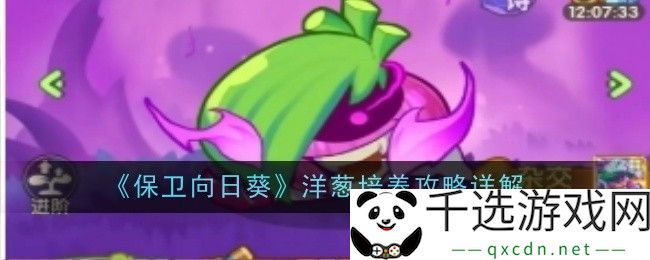 保卫向日葵洋葱怎么培养