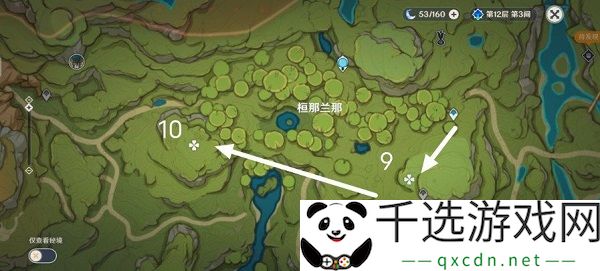 原神恒那兰那的苗圃位置攻略：角色养成与技能选择