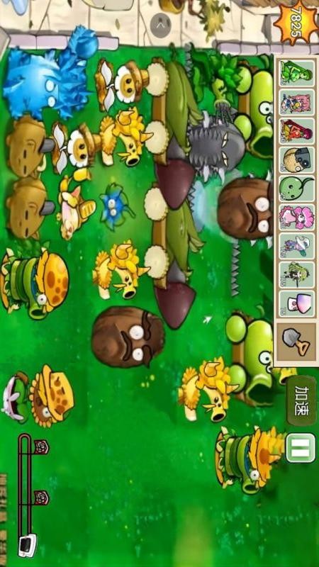 植物僵尸全面战争游戏免费版