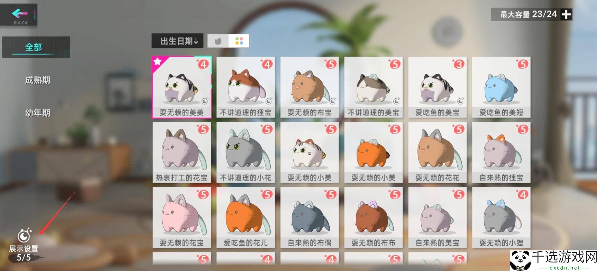 猫之城猫屋中猫球怎么放置