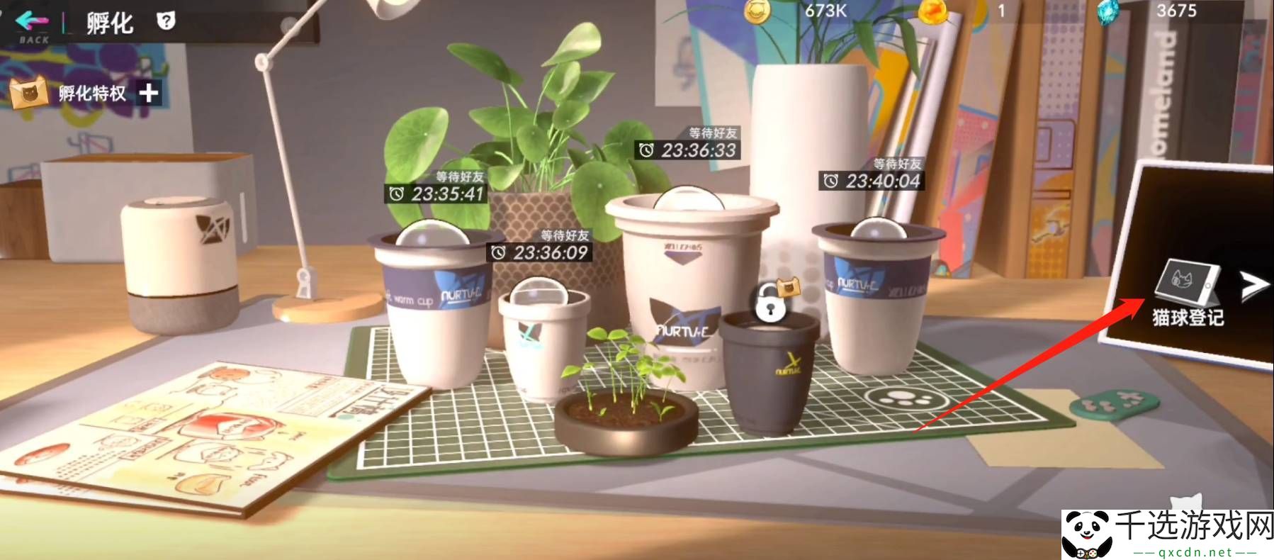 猫之城怎么登记猫球