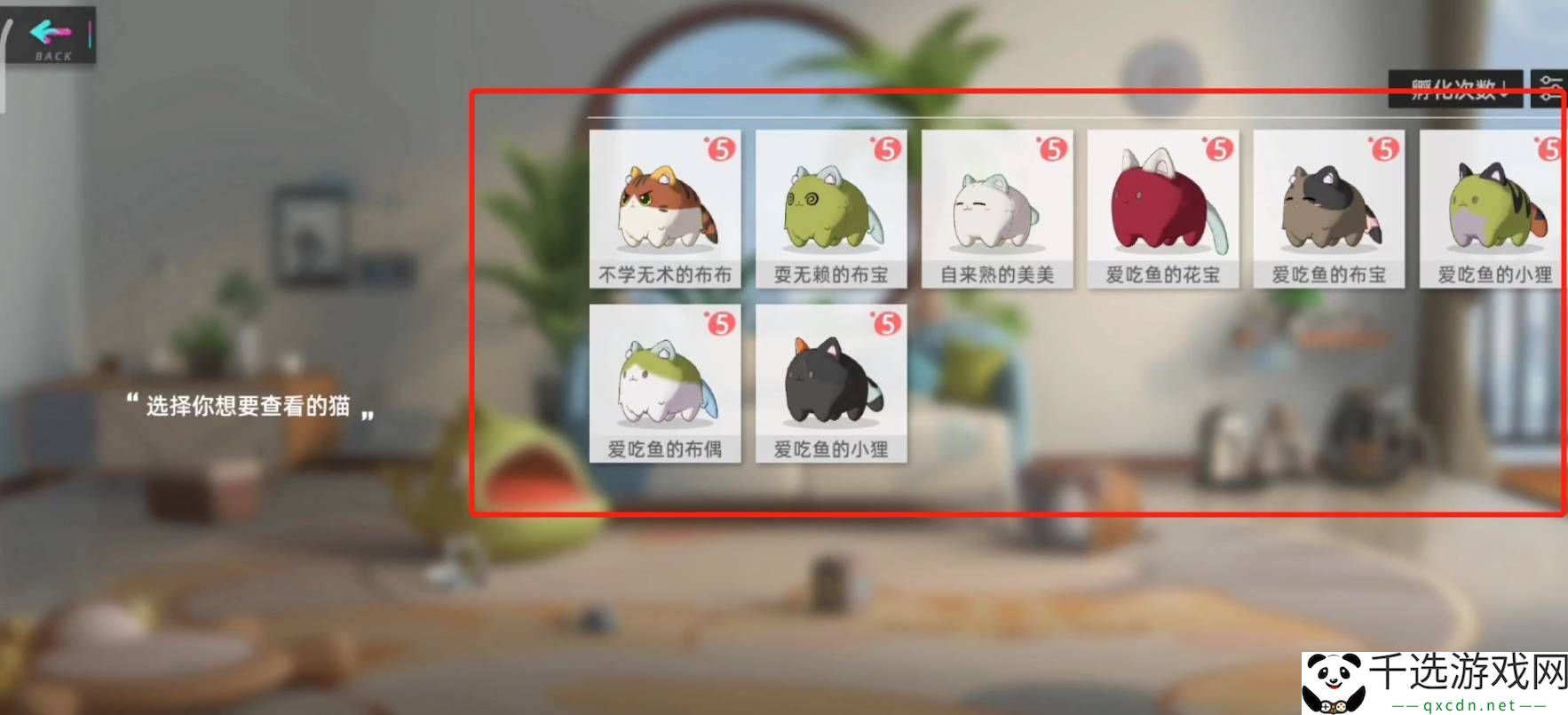 猫之城怎么登记猫球
