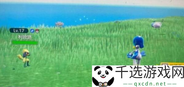 宝可梦朱紫铁武者在哪