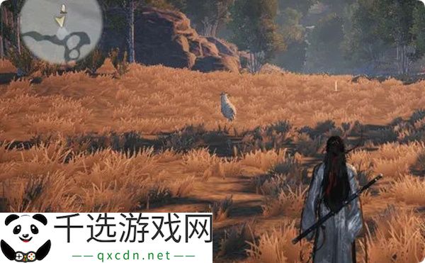 燕云十六声脂尾羊刷取方法分享