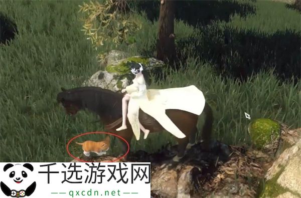 逆水寒手游捉猫记奇遇任务攻略分享