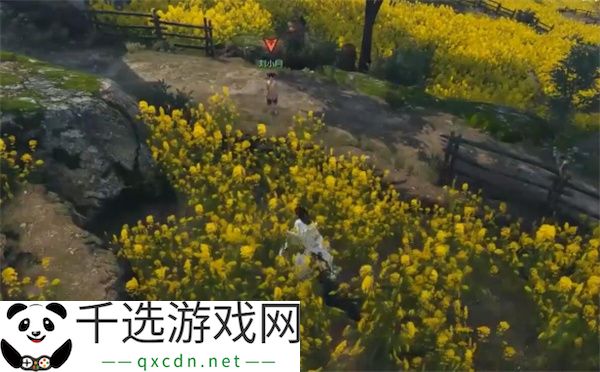 逆水寒手游缉鸡记奇遇任务攻略分享