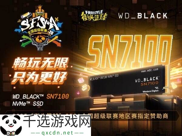 畅玩无限 WD_BLACK助力《街头篮球》SFSA全国超级联赛